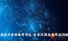 如何在农行办理数字钱包：全方位指南与常见问