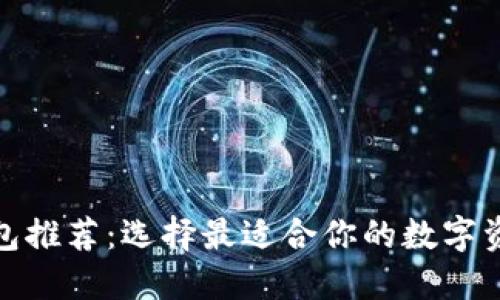 数字货币钱包推荐：选择最适合你的数字资产管理工具