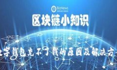 数字钱包充不了钱的原因及解决方案