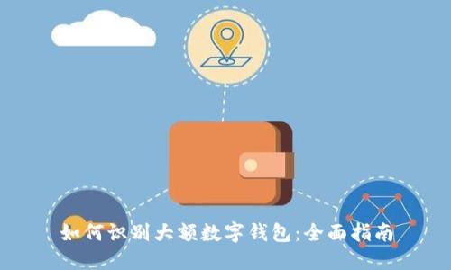 如何识别大额数字钱包：全面指南