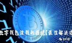 优质如何应对数字钱包没钱的困境？最佳解决方