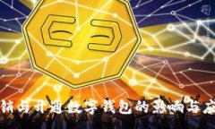 :频繁注销与开通数字钱包的影响与应对策略