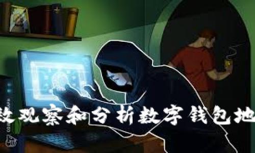 优质如何有效观察和分析数字钱包地址：完全指南