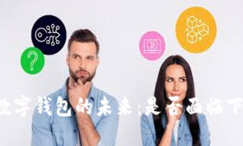 ### 数字钱包的未来：是否面临下架风险？