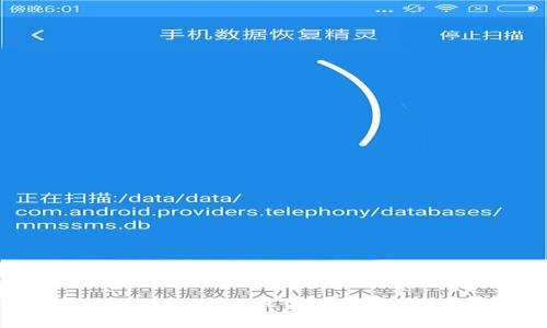 比特派钱包：了解其背后的公司和国家