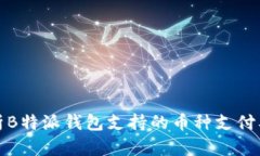 深入解析B特派钱包支持的币种支付及其优势