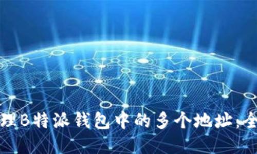 如何清理B特派钱包中的多个地址：全面指南