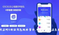 如何应对B特派钱包跑路事件，用户必看的应急指