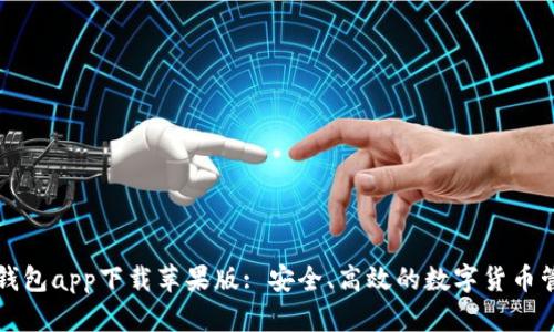 比特派钱包app下载苹果版: 安全、高效的数字货币管理工具