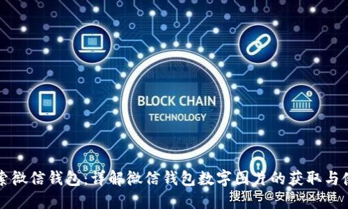 探索微信钱包：详解微信钱包数字图片的获取与使用