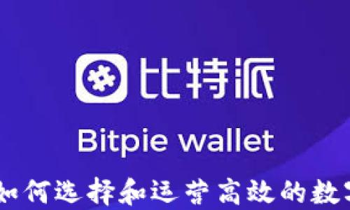 
数字钱包代理：如何选择和运营高效的数字钱包代理业务