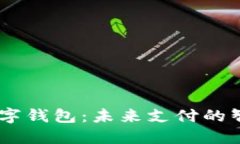 DCPE数字钱包：未来支付的智能选择