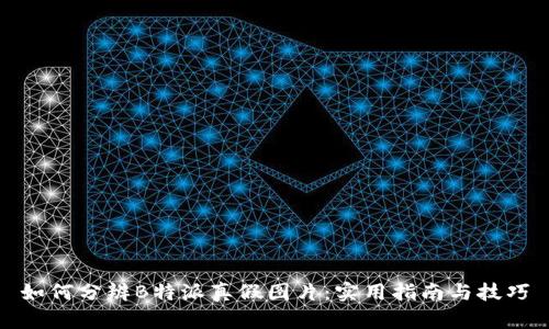 如何分辨B特派真假图片：实用指南与技巧