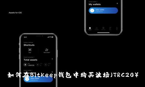 如何在BitKeep钱包中购买波场（TRC20）