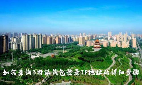 如何查询B特派钱包登录IP地址的详细步骤