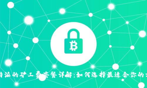 比特派的矿工费套餐详解：如何选择最适合你的方案