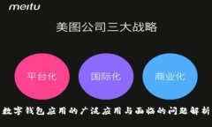 数字钱包应用的广泛应用与面临的问题解析