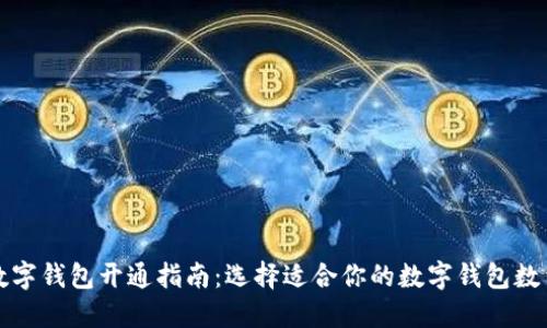 数字钱包开通指南：选择适合你的数字钱包数量