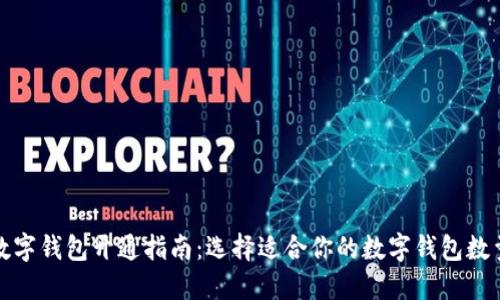 数字钱包开通指南：选择适合你的数字钱包数量