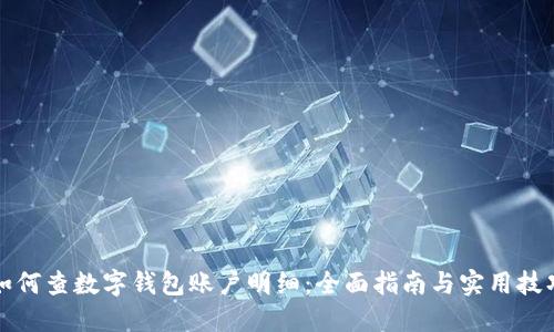 如何查数字钱包账户明细：全面指南与实用技巧