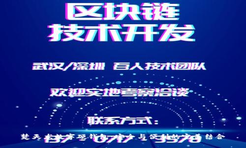 楚天龙数字硬钱包：安全与便利的完美结合