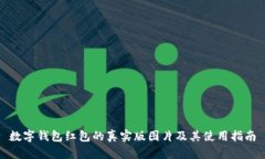 数字钱包红包的真实版图片及其使用指南
