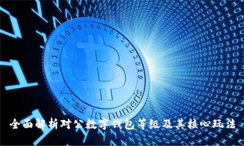 全面解析对公数字钱包等级及其核心玩法