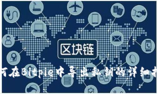 如何在Bitpie中导出私钥的详细指南