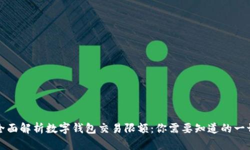 全面解析数字钱包交易限额：你需要知道的一切
