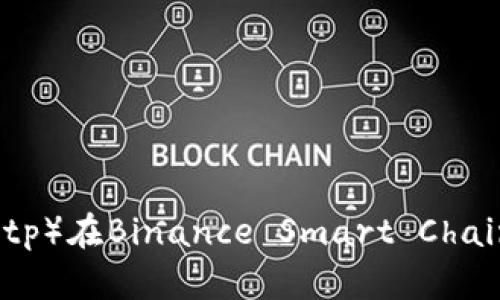 全面解析Bits Project（bitp）在Binance Smart Chain（BSC）上的多重签名支持
