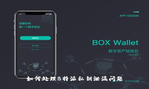 如何处理B特派私钥泄漏问题