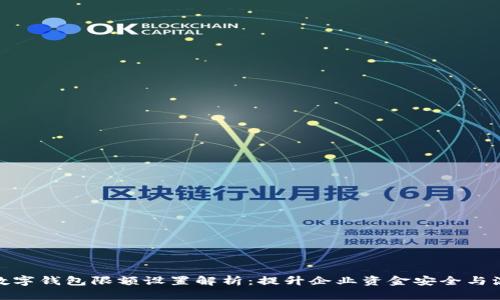 对公数字钱包限额设置解析：提升企业资金安全与流动性