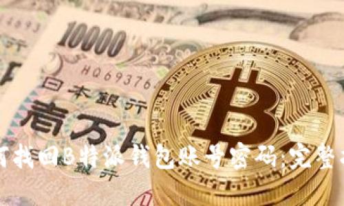 如何找回B特派钱包账号密码：完整指南