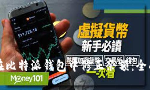 如何在比特派钱包中修正余额：全面指南