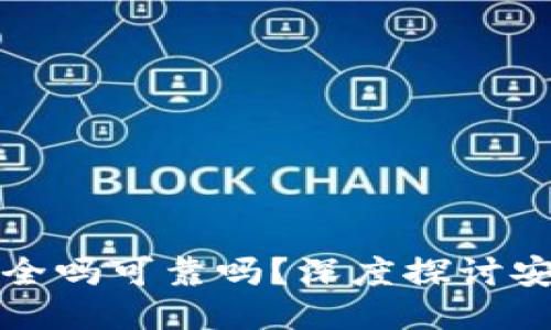 区块链钱包安全吗可靠吗？深度探讨安全性与可靠性