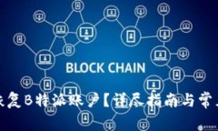 如何有效恢复B特派账户？详尽指南与常见问题解