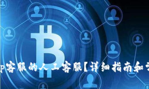 如何联系Bitp客服的人工客服？详细指南和常见问题解答