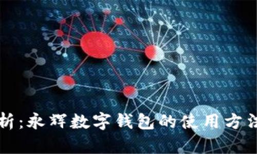 全面解析：永辉数字钱包的使用方法与功能