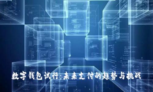 数字钱包试行：未来支付的趋势与挑战