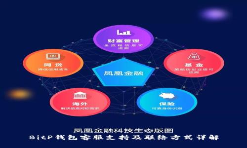 BitP钱包客服支持及联络方式详解
