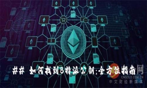 ## 如何找到B特派公钥：全方位指南
