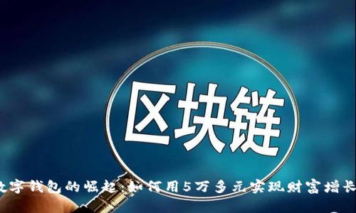 数字钱包的崛起：如何用5万多元实现财富增长？