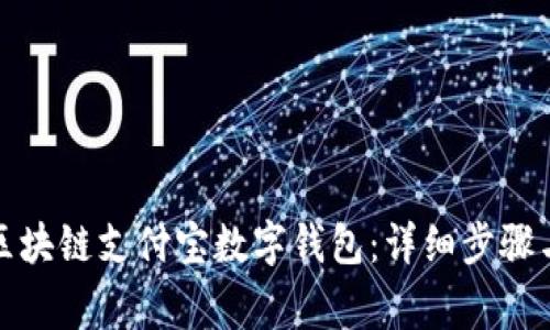 如何开通区块链支付宝数字钱包：详细步骤与注意事项