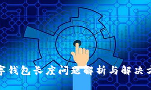 数字钱包长度问题解析与解决方案