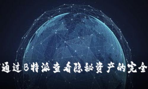 如何通过B特派查看隐秘资产的完全指南