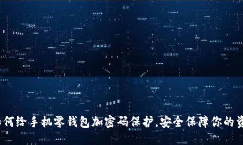  如何给手机零钱包加密码保护，安全保障你的资金