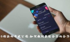 选择B特派的开发公司：如何找到最适合你的合作