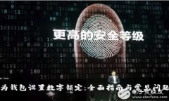 如何为钱包设置数字锁定：全面指南与常见问题