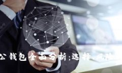 数字货币对公钱包全面分析：选择、风险与安全