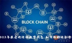 优质2023年最受欢迎的数字钱包：如何选择适合你